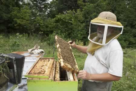 Highlands Honey's picture