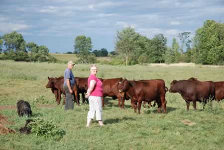 Dunbrae Farms's picture